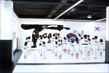 Team태권도장