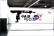Team태권도장