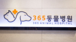 365동물병원 위례점