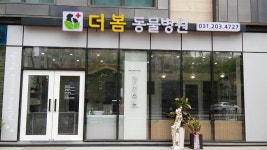 더봄동물병원