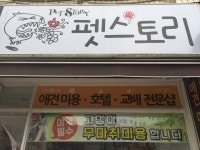 펫스토리