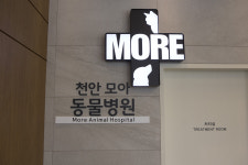 천안모아동물병원