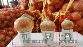 천재농산