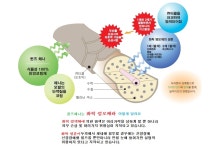 퀸즈헤나