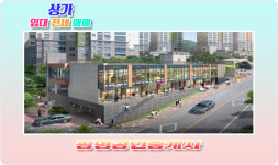 광명공인중개사사무소