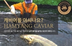 함양 철갑상어연구소