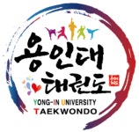 용인대태권도