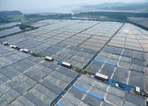 태안천일염연합영어조합법인