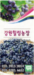 강원힐링농장