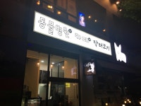닥터코기동물병원