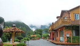 동강할미꽃펜션