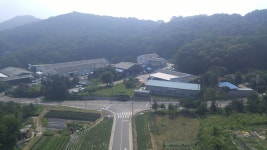 닉스
