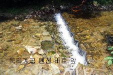 에이스펜션카라반