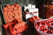 농협공판장 326번