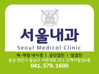 서울내과의원