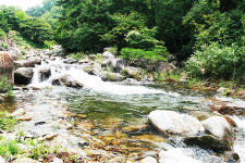 별무리펜션