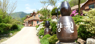 동강할미꽃펜션