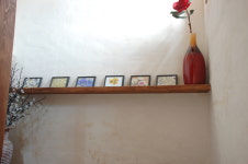 강정2442꽃피우다