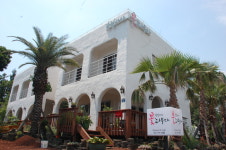 강정2442꽃피우다