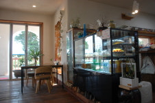 강정2442꽃피우다