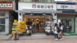 못된고양이 강원삼척점