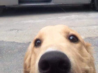 대성자동차페인트