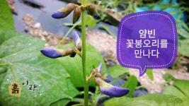 흙이랑농장