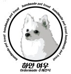 하얀여우수제간식