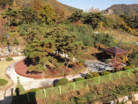 실버랜드