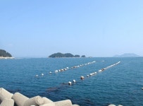 사철나무펜션민박방파제갯바위조개및바다체험바다낚시황토찜질방