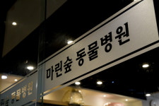 마린숲 동물병원