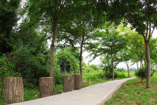 825luz 풀빌라펜션