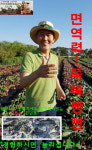 천년초협동조합천년애