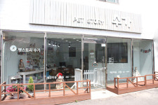 펫스토리 수가