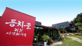 동치골허브야생화마을