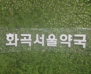 화곡서울약국