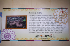 칠갑산 능이오리마을