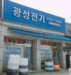광성전기