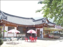 부흥민박
