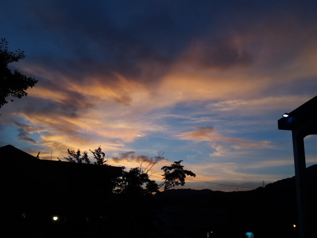 오픈하우스가든