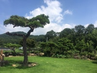 선운 농원조경