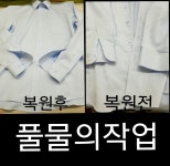 얼룩빼기 금강세탁