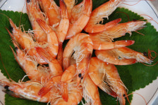 내포해물촌 홍성본점