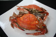 내포해물촌 홍성본점