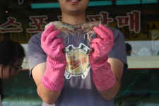 내포해물촌 홍성본점