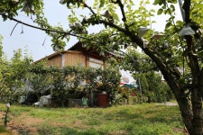 한옥배나무집민박