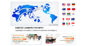 드림웹엔터프라이즈