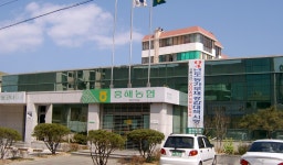 다우종합건설