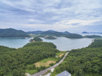 나로리뷰