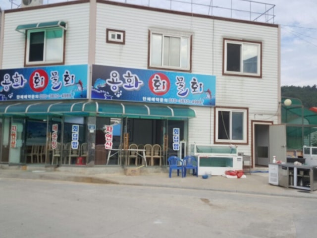 용화물회